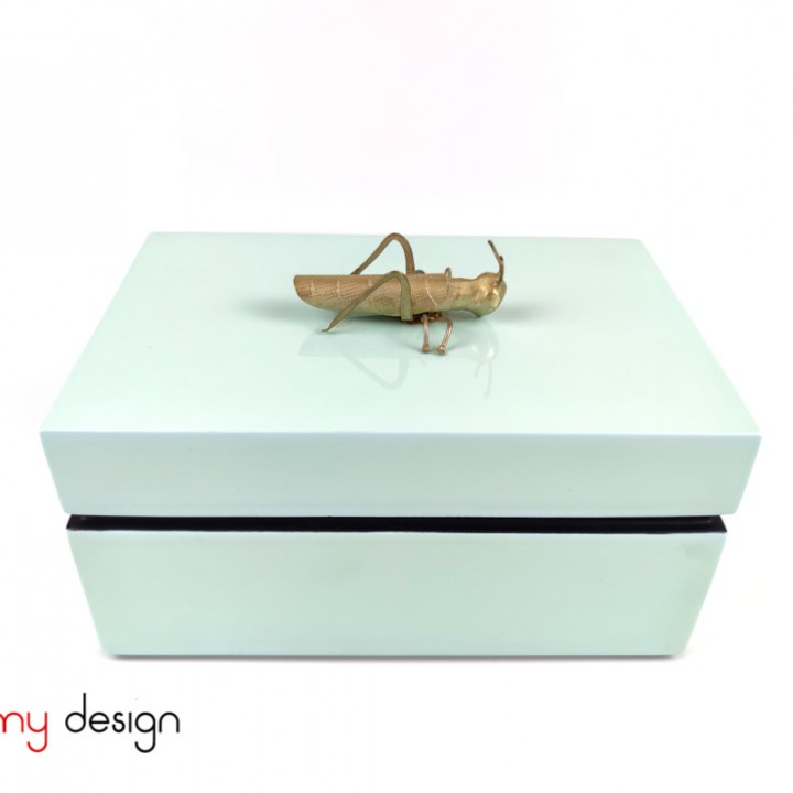 Light green rectangular box with mantis 11*17*H8cm